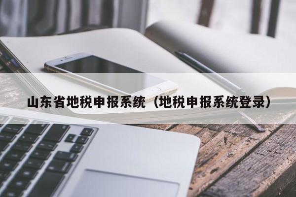 山东省地税申报系统（地税申报系统登录）