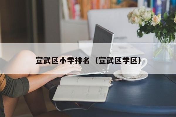 宣武区小学排名（宣武区学区）
