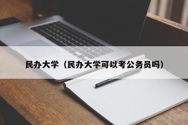 民办大学（民办大学可以考公务员吗）