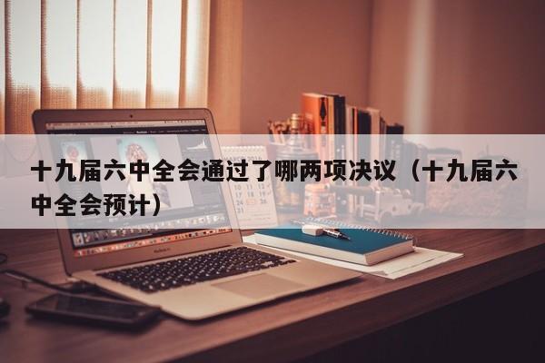 十九届六中全会通过了哪两项决议（十九届六中全会预计）