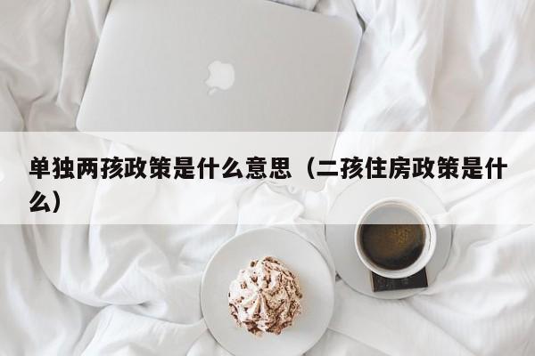 单独两孩政策是什么意思（二孩住房政策是什么）