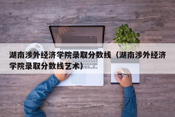 湖南涉外经济学院录取分数线（湖南涉外经济学院录取分数线艺术）